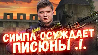 СИМПЛУ ПОКАЗАЛИ ПИСЮН В КС ГО, S1MPLE ОСУЖДАЕТ!