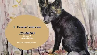 ДОМИНО, История одного черно-бурого лиса, Глава 3, НОВЫЙ ДОМ