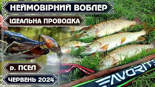 ВБИВЧИЙ ВОБЛЕР і ХІТОВА ПРОВОДКА КОСЯТЬ КРУПНИХ ЛІТНІХ ЩУК та ОКУНІВ на річці ПСЕЛ у червні 2024