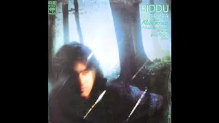 Biddu Orchestra - Rain Forest (1976)