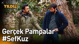 Kuzey Yıldızı İlk Aşk | Gerçek Pampalar #SefKuz