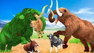 Zombie Woolly Mammoth vs Cow Cartoon Fight Cartoon Cow Saved By Elephant Giant Animal Fights Videos