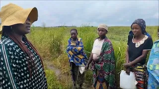 EN DIRECT DE MARCHÉ MEKAO,  À LA CITE DE RÉFÉRENCE, 1000$ . 032499605329