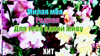 МИЛАЯ МОЯ , РОДНАЯ | Вячеслав Фёдоров