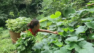 Harvest super small bamboo shoot goes to the market sell - Preserving & preparing green vegetables