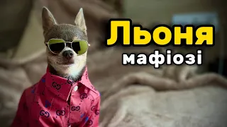 Льончик мафіозі