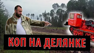 Что можно найти на лесной вырубке. Коп на делянке. Старинные находки.