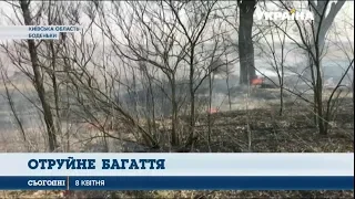 Із настанням тепла господарі масово спалюють листя й сухостій