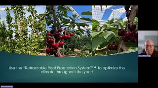 How to achieve a 2 3 year ROI producing cherries using the retractable roof production system, 2024
