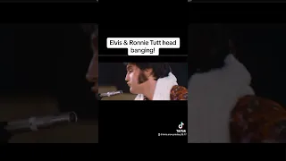 Elvis & drummer Ronnie Tutt head banging!  #elvispresley #elvis #ronnietutt #thatsalrightmama