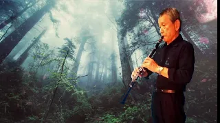 Oblivion Piazzolla clarinet cover