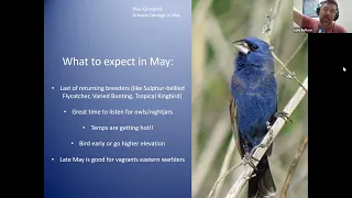 Birding the Calendar: Where to Go Birding in May, with Luke Safford