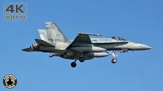 [4K] RCAF CF-188 Hornet's | 'Blade flight' | Frisian Flag 2022