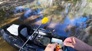 Kayak Murray Cod Fishing: Beware the Tiger Snake