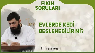 Evlerde kedi beslenebilir mi? Halis Bayancuk Hoca