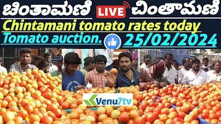 || Chintamani ||today ||25/02/2024 || today tomato rates in Chintamani ||Venu7tv #today #Chintamani