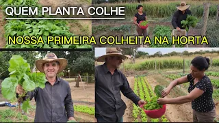 PRIMEIRA COLHEITA DA HORTA + RECEBIDO