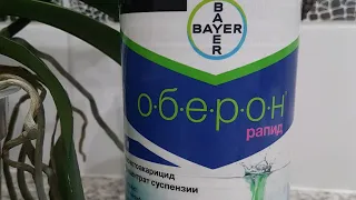 Оберон Рапид Bayer для комнатных и садоводческих растений от красного клеща,трипса,белокрылки,тли