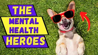 10 Benefits of Pets For Mental Health