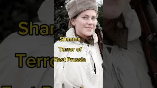 Roza Shanina The Unseen Terror of East Prussia #shorts