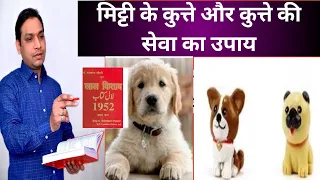 मिटटी के कुत्ते का उपाय या कुत्ते की सेवा_Who Can Keep Dog as Per Lal Kitab