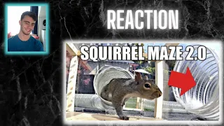 Reacting To Squirrel Maze 2.0 From Mark Rober