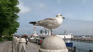 2023 05 26 Warnemünde öffentlich