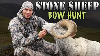 DIY Sheep Bow Hunting - Stone Sheep in British Columbia