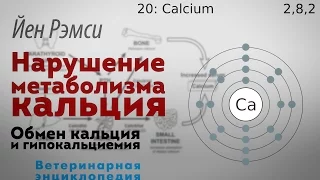 Нарушение метаболизма кальция. Обмен кальция и гипокальциемия