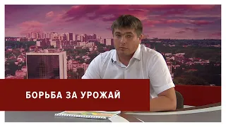 «Борьба за урожай. Как и от чего ставропольские аграрии спасают посевы?»