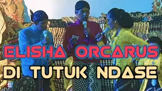 (Elisha orcarus) ngomongke |  dagelan (Mrogos) Ditutuk ndase