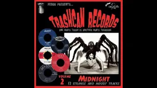 Various – Trashcan Records Volume 2 - Midnight 50's 60's Strange Moody R&B Rock & Roll Doo-Wop Music