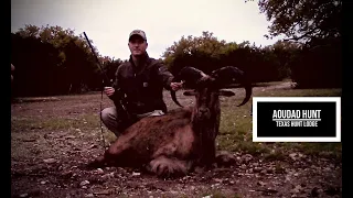 Aoudad Hunt at Texas Hunt Lodge