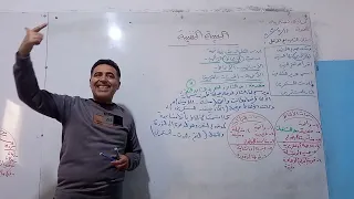 البنية الفنية