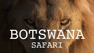 What's a SAFARI like in BOTSWANA??