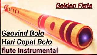 Govind Bolo Hari Gopal Bolo Flute Instrumental