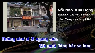 [KARAOKE] NỖI NHỚ MÙA ĐÔNG | TONE NAM BEAT NGỌC TÂN