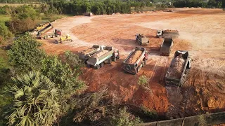 Ep18, Nice Operator Filling And Clearing Forest Project, Dozers and 25ton Dump Skillfully Process