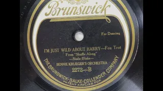 "I'm Just Wild About Harry" 1920s dance band led by Ernest Hussar song by Eubie Blake & Noble Sissle