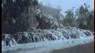 Июньский снегопад  6 июня 1995 г Алапаевский район