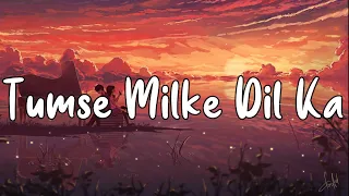 Tumse Milke Dil Ka [Slowed+Reverb]-Sonu Nigam, Altaf Sabri, Hashim Sabri ||Text Audio