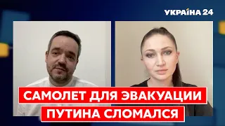 Бацман. Говорящие жопы Путина в панике, трупы в морозилке