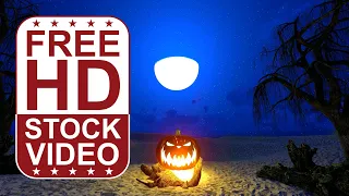 Free Stock Videos – Halloween scary pumpkin on desert with leafless trees and glowing moon 3D