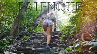 Exploring the Ancient Mayan Ruins of PALENQUE: into the Jungle - Chiapas Mexico