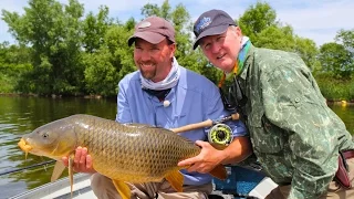 Carp on a Fly | Bay of Quinte