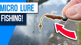 How many PERCH can I catch in 20 Minutes?! Ultra-light Lure Fishing