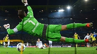 Roman Weidenfeller - The God || 2013-2014 HD