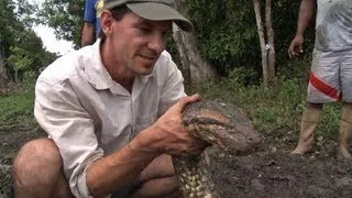 Catching An Anaconda By Hand