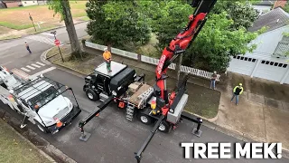 Removing problem trees with the tree Mek