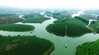 Đồi Chè Thanh Chương flycam | Ốc Đảo Chè Đẹp Nhất Việt Nam